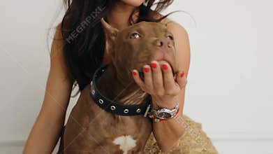 Chic woman kissing her american pit bull terrier and smiling