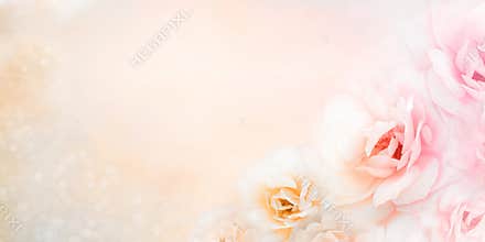 Soft roses flower banner background in vintage peach tone with glitters and copy space design for valentine and wedding cards