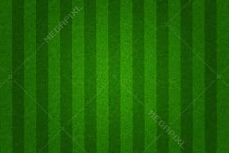 Green grass soccer field background