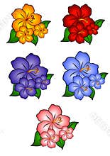 5 Hawaiian Hibiscus Flowers