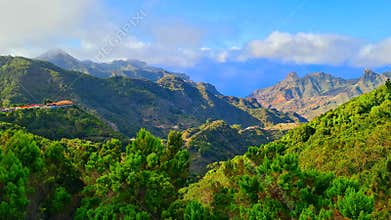 Forests of Anaga, Tenerife