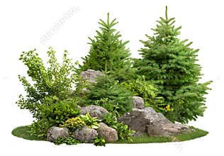 Cutout stones surrounded by pine trees