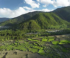 Kingdom of Bhutan - Paddy Fields Landscape