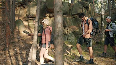 Side view of tourists friends walking in forest on summer day holding map talking