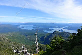 A beautiful view of the scenic ocean in Haida Gwaii