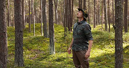 Forestry - forester doing forest survey and management. sustainable development