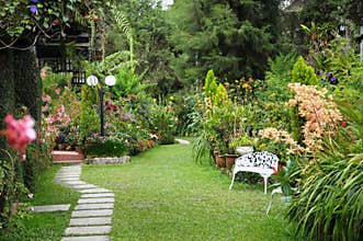 English Country Garden