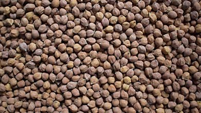 Raw whole dried brown Chickpeas