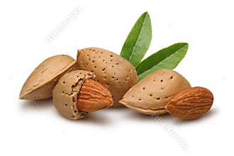 Almond