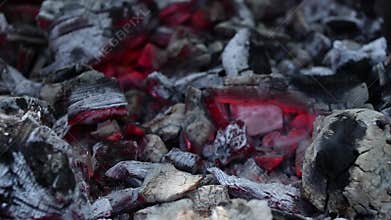 bonfire with firewood in the forest, fire flame on a campfire at a picnic