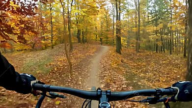 POV Mountain Biking Through Vibrant Fall Forest Trail. Concept of Adventure Cycling, Outdoor Fitness, Autumn Scenery