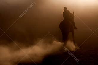 Horse riding in the dust