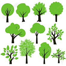 Trees set