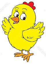 Yellow chick (vector clip-art)