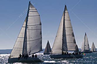 Sailboat Racing