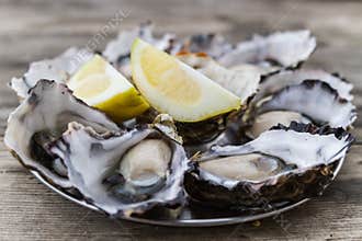 Oysters with lemon