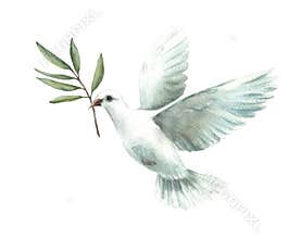 Watercolor Pigeon with olive branch. White flying dove bird, symbol of peace. Realistic illustration