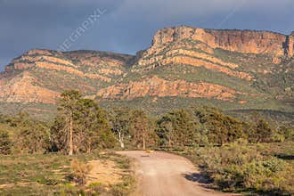 Emus cross a road leading to magnificent layered mountains.