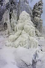 An icy Christmas tree that looks like a cascade fountain