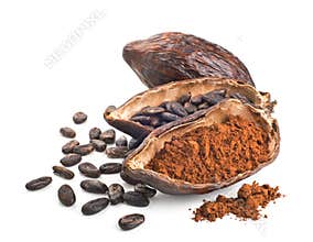 Cocoa pod, beans and powder isolated on a white