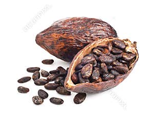 Cocoa pod and beans on a white