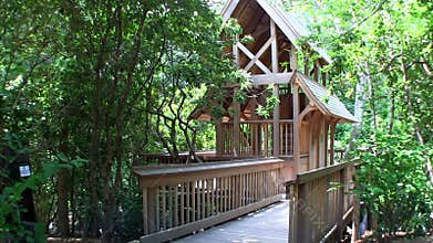 Hidden hollow tree fort