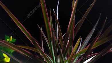 I put my hand out in the rain, my hands and arms got wet, and the water splashed in spray.