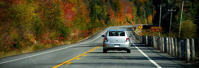 Autumn drive