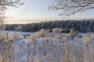 Winter view of the small pier and wooded shoreline