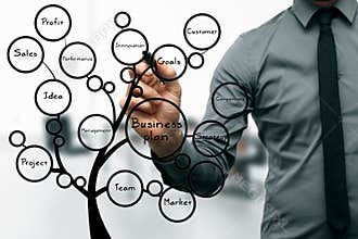 Businessman drawing business plan tree