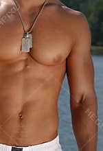 Muscular male torso