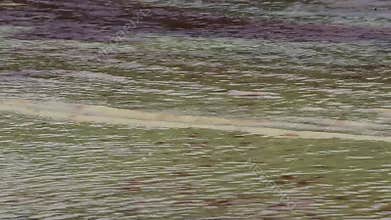 Water and waves with red seaweed algae on Beach Thailand