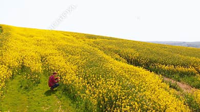 Redhead man crouching in mustard field 4k