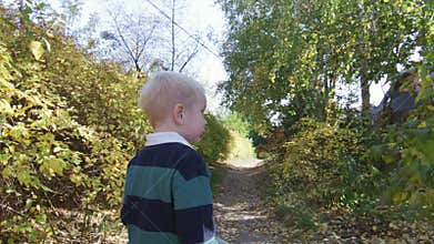 Curious little boy having walk in the park