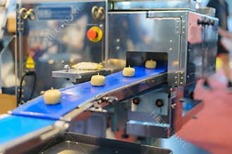 Automated Dough Portioning Conveyor System