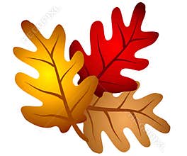 Autumn Oak Tree Leaves Clipart