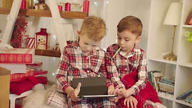 Cute boys watching laptop on Christmas eve