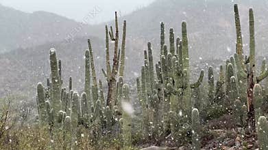 Desert snow falling near Phoenix, Arizona