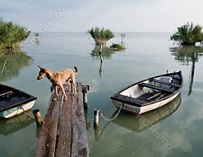 Lake Balaton (Szigliget)