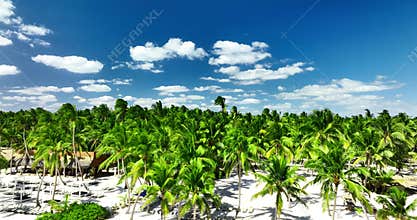 Wild beach on Saona island, Dominican Republic aerial panorama on a sunny day, caribbean tropical destination