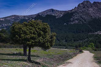 landscape, view, mountains, spring, nature, plants, spain, green