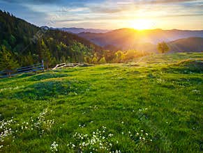 Morning Landscape