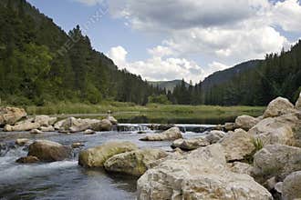 Trout stream in the Black Hills of South Dakota