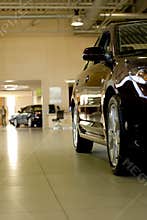 Car in showroom