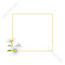 Watercolor frame with daisies and wild herbs