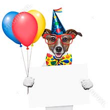 Birthday dog