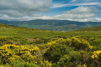Spring mountain landscape on a sunny clear day in the sierra de Guadarrama mountains near Madrid in Spain