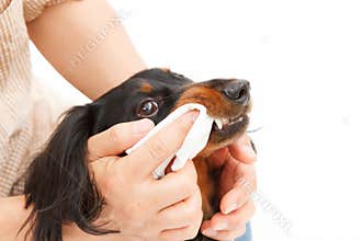 Dentifrice