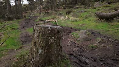 Destination scenics at The Roaches in the Peak District National Park