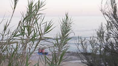 View from behind the bushes of a couple of people sitting on the beach by the sea